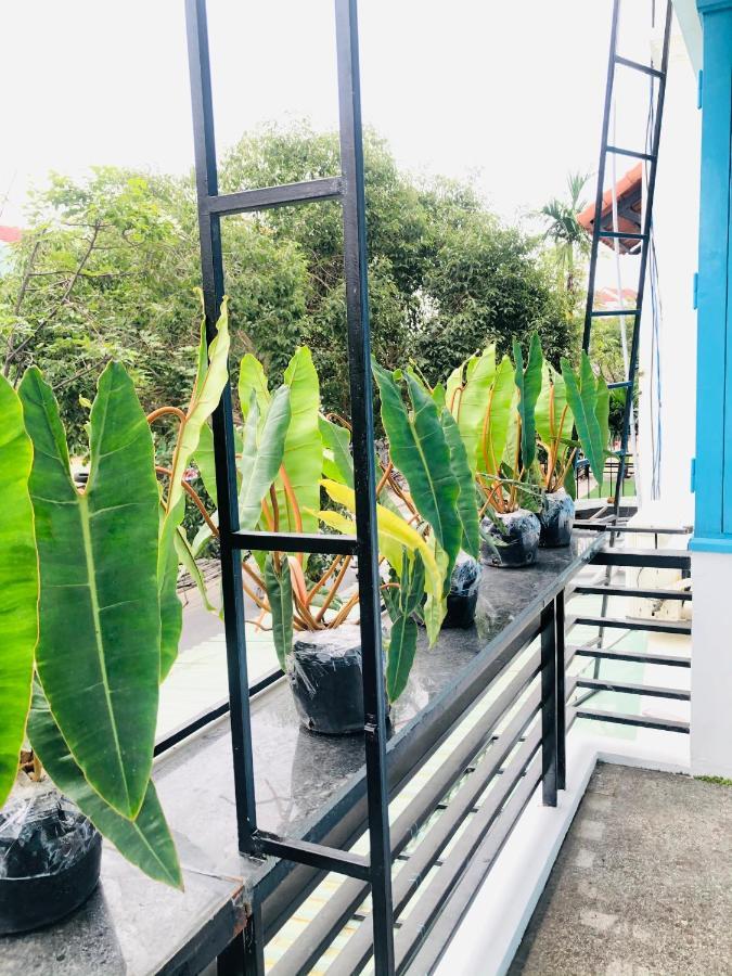 An'S Family Homestay Hoi An - 5Mins Walk To Hoi An Ancient Town Exterior photo